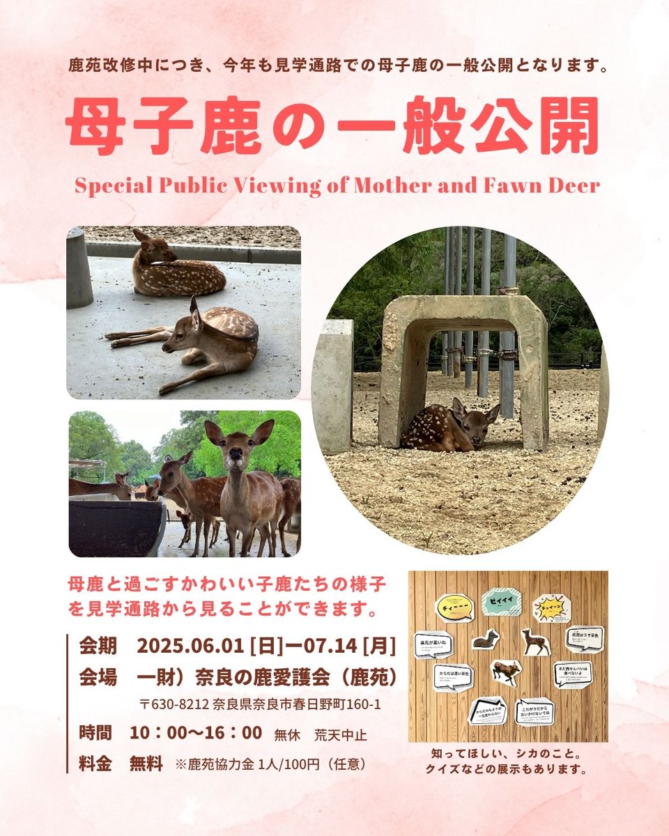 一般財団法人奈良の鹿愛護会 公式アカウント on X