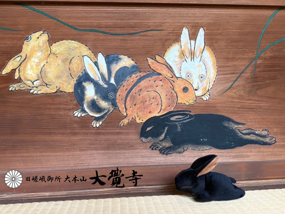 東京国立博物館「大覚寺展」でご好評をいただきました野兎のぬいぐるみ。
モデルとなったのは、正寝殿に描かれた《野兎図》。
このたび、その本物の「野兎」をご覧いただける特別拝観が明日、6月21日(土）から始まります。
※写真撮影はできませんので予めご了承ください。
ご参拝お待ちしております。