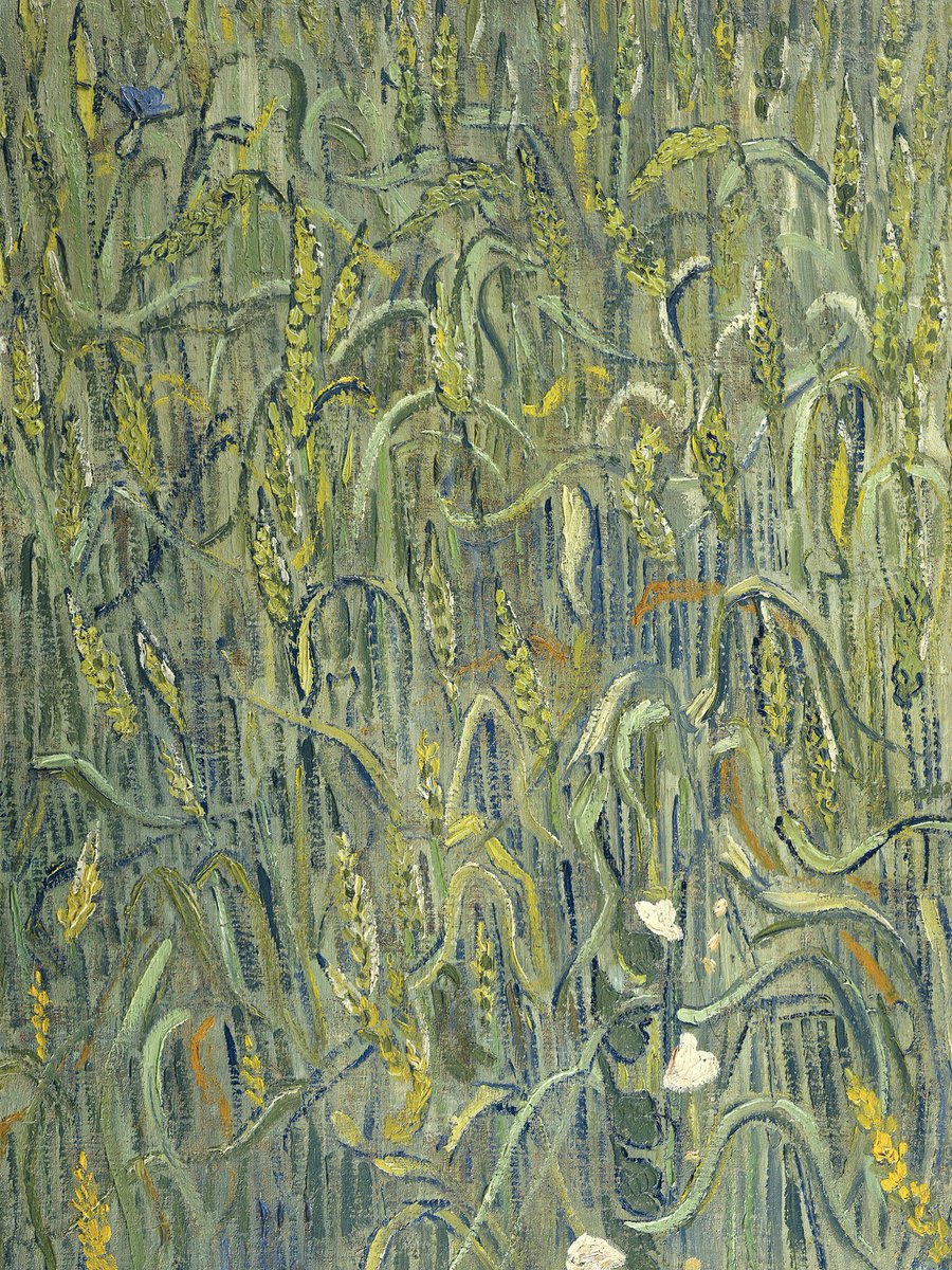 Van Gogh: The Life (@vangoghthelife) on Twitter photo #VanGogh of the Day: Ears of Wheat, June 1890. Oil on canvas, 64 x 48 cm. Van Gogh Museum, Amsterdam. <a href="/vangoghmuseum/">Van Gogh Museum</a> #VanGogh of the Day: Ears of Wheat, June 1890. Oil on canvas, 64 x 48 cm. Van Gogh Museum, Amsterdam. <a href="/vangoghmuseum/">Van Gogh Museum</a>
