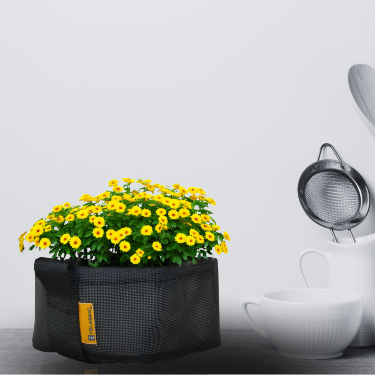 telabag's tweet photo. ¿Sabías que las macetas textiles son mejores que las tradicionales? Descubre en nuestra Guía por qué son la mejor opción para tus plantas: más aireación, menos encharcamiento y raíces más sanas. 
Lee el artículo aquí: https://t.co/psutmufRRh...
#HuertoUrbano 
#Jardinería https://t.co/RpdAs4hULL