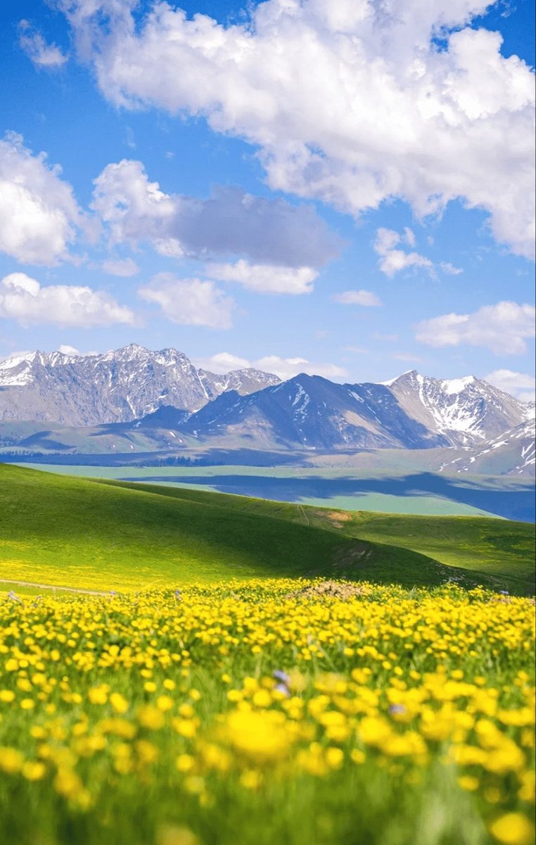 驰骋喀拉峻，沉醉草原秘境之美。