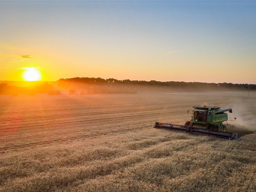 gregpeterson33's tweet image. Kansas wheat harvest 🌾 best time of year! #Kansas #wheat @KansasWheat