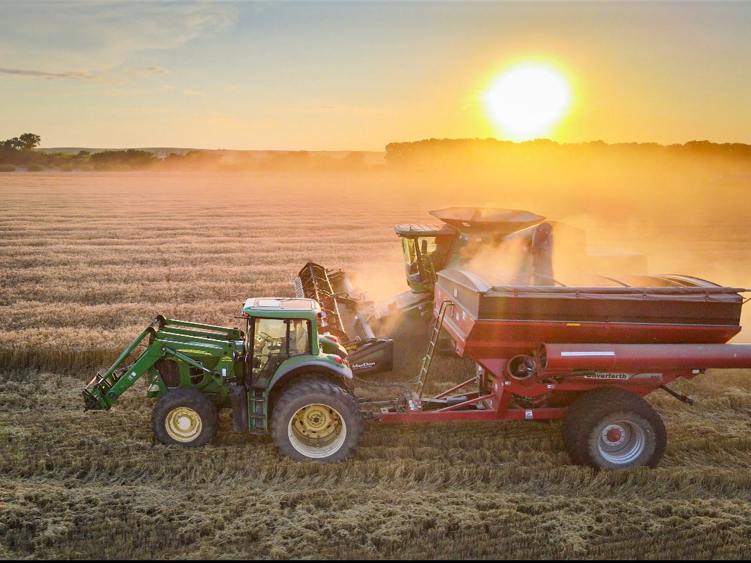 gregpeterson33's tweet image. Kansas wheat harvest 🌾 best time of year! #Kansas #wheat @KansasWheat