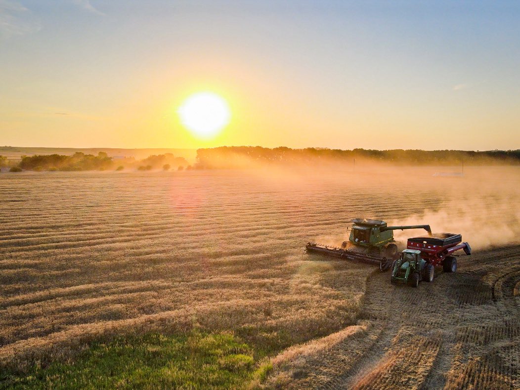 gregpeterson33's tweet image. Kansas wheat harvest 🌾 best time of year! #Kansas #wheat @KansasWheat