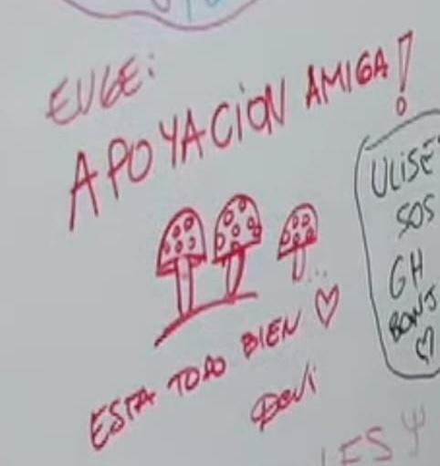flor tweet media