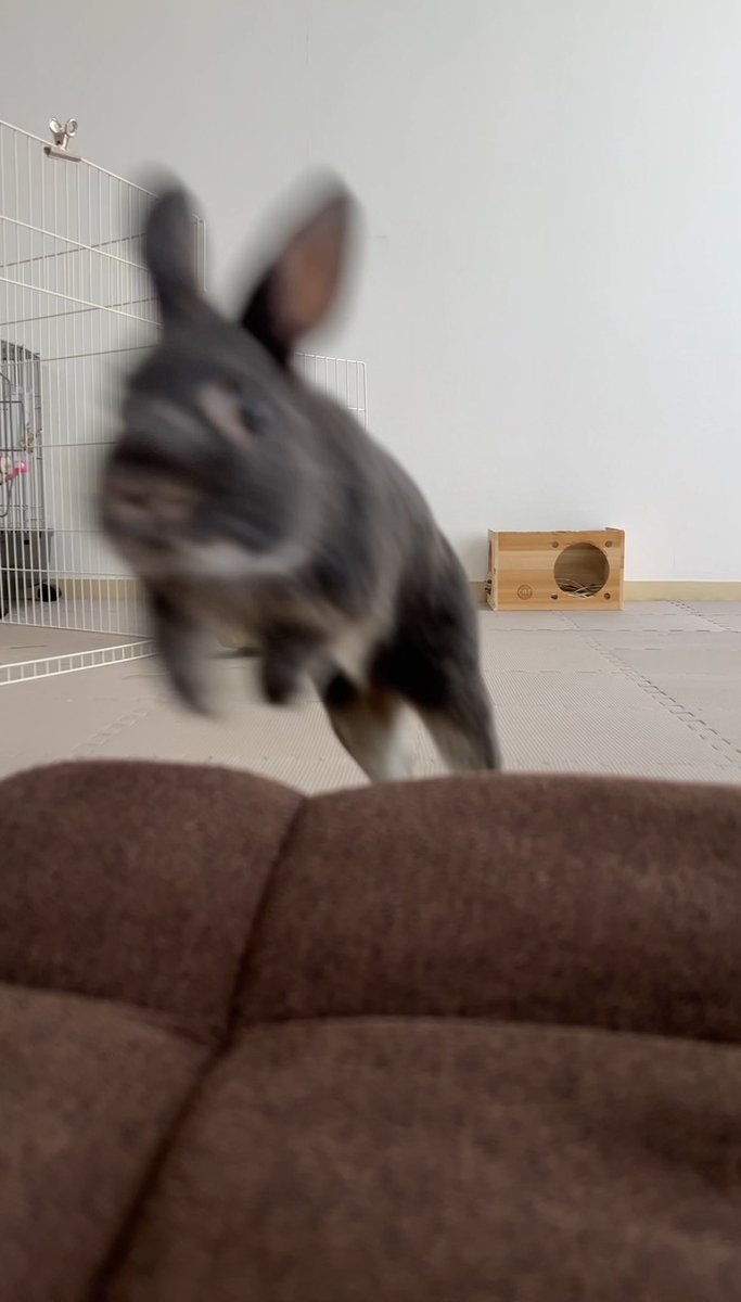 具合悪くてお仕事を休んでしまい、しょんぼり。
明王は「なんでいるの！？」ってテンション爆上がり。
みょんちの笑顔が見られるならまぁいいか