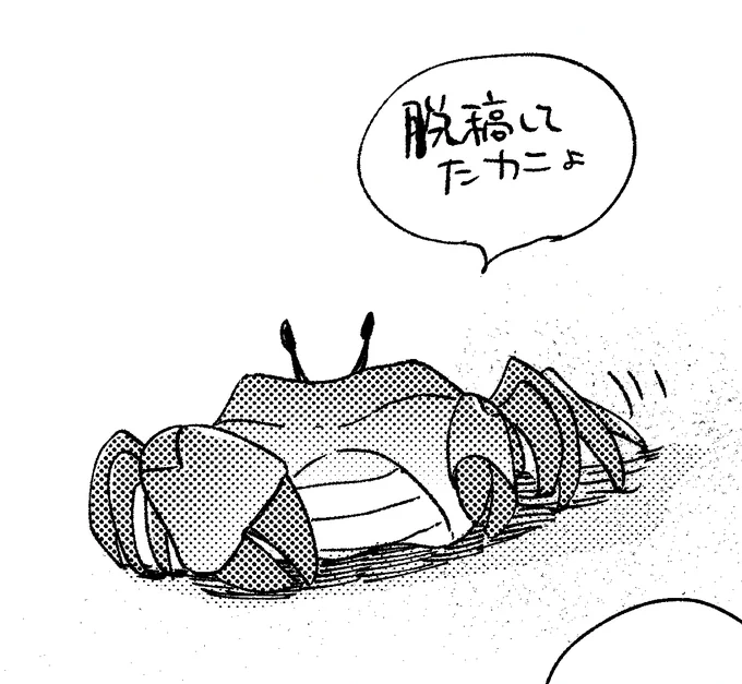とっくに脱稿してたんだけど、海神さまのせいで見返したり出来なくなってて笑
予想できてたから、海神さまくる前に必死に終わらせたんだけど…お尻を叩いてくれてありがとうございます海神さま🙏✨

これはビロノの砂浜でタミ主を見守るカニ🦀 