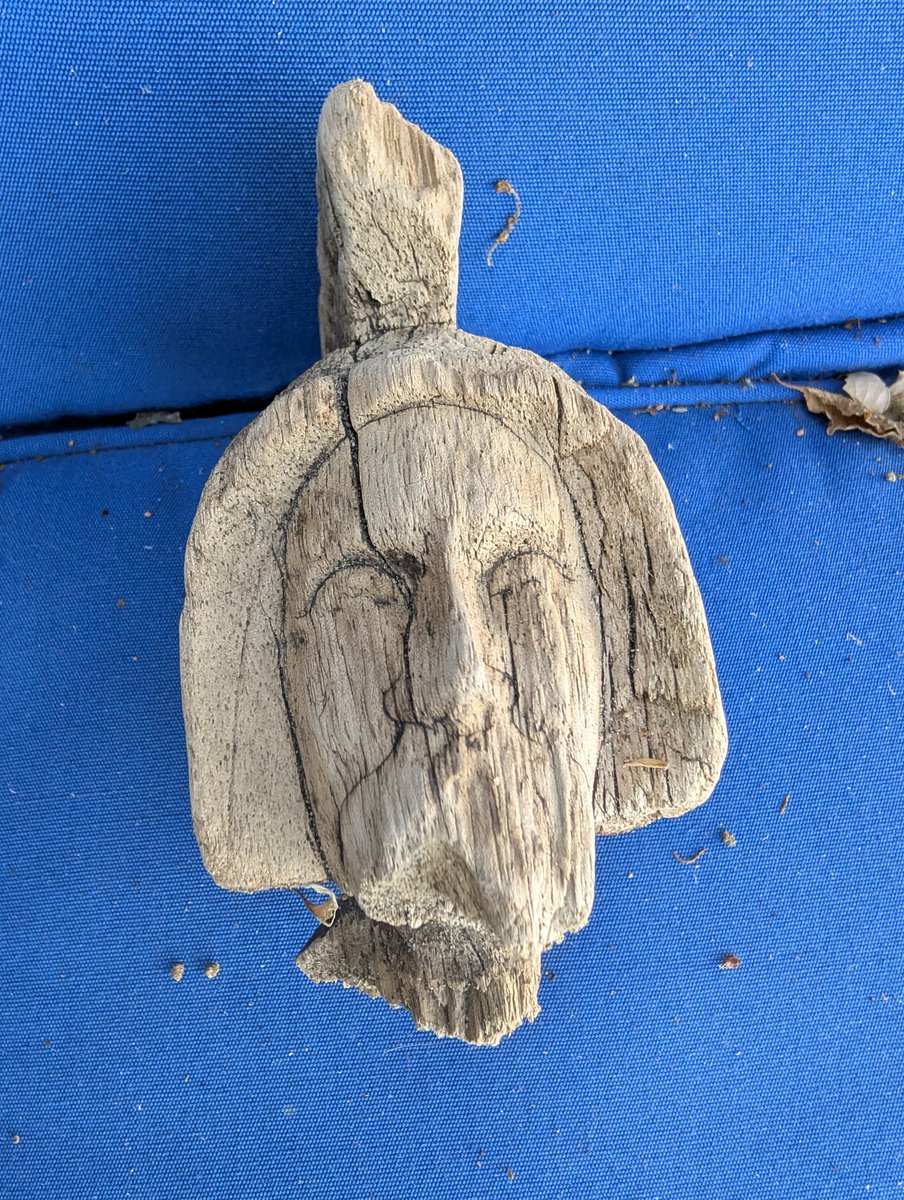 JoelKatz's tweet photo. My wife found this on a beach. Anyone know what it is? https://t.co/TOBO8qLfpw
