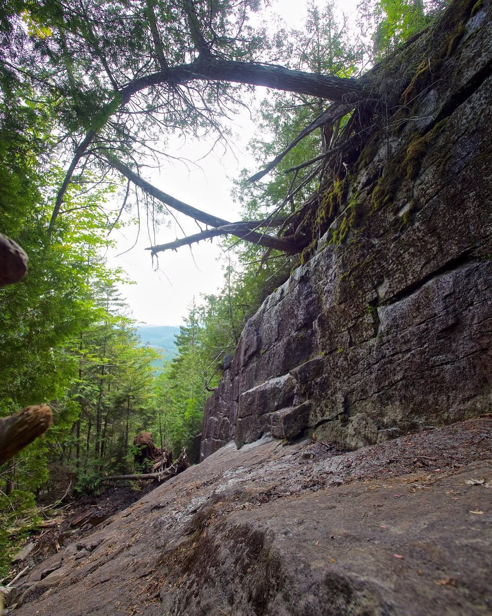 Visit Adirondacks (@visitadks) on Twitter photo The world just feels bigger here π 
πΈ @_cameraboy #VisitAdks
π Mount Adams The world just feels bigger here π 
πΈ @_cameraboy #VisitAdks
π Mount Adams