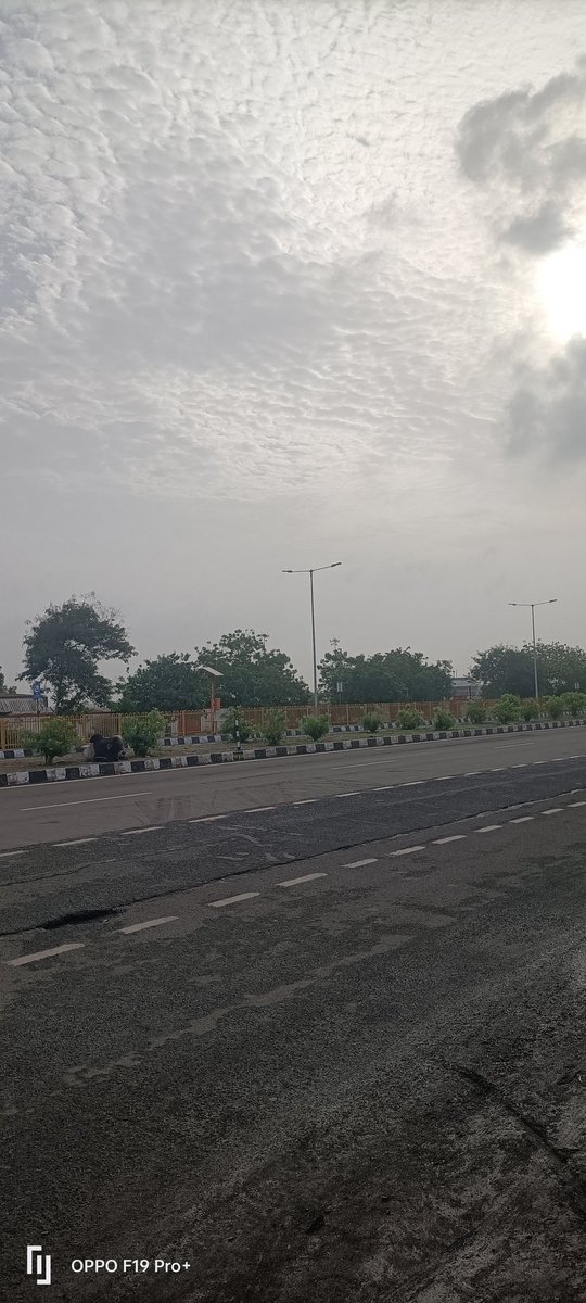 Good morning friends 🌺