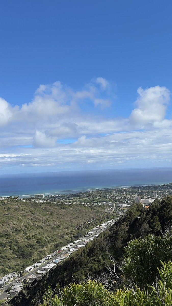 ️️️️A ✵🇭🇹 tweet media