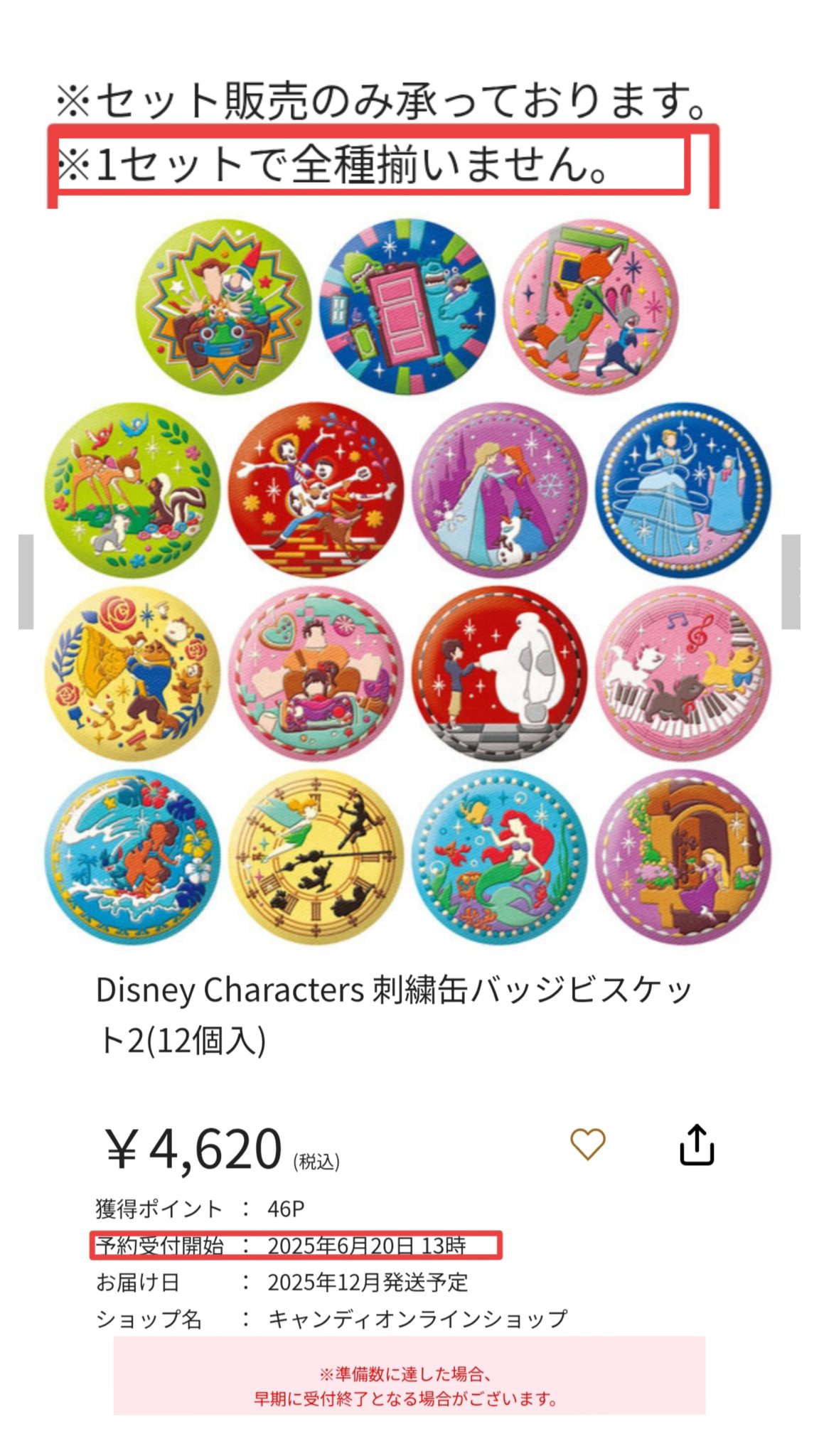 東京ディズニーランド 缶バッジ 6個セット