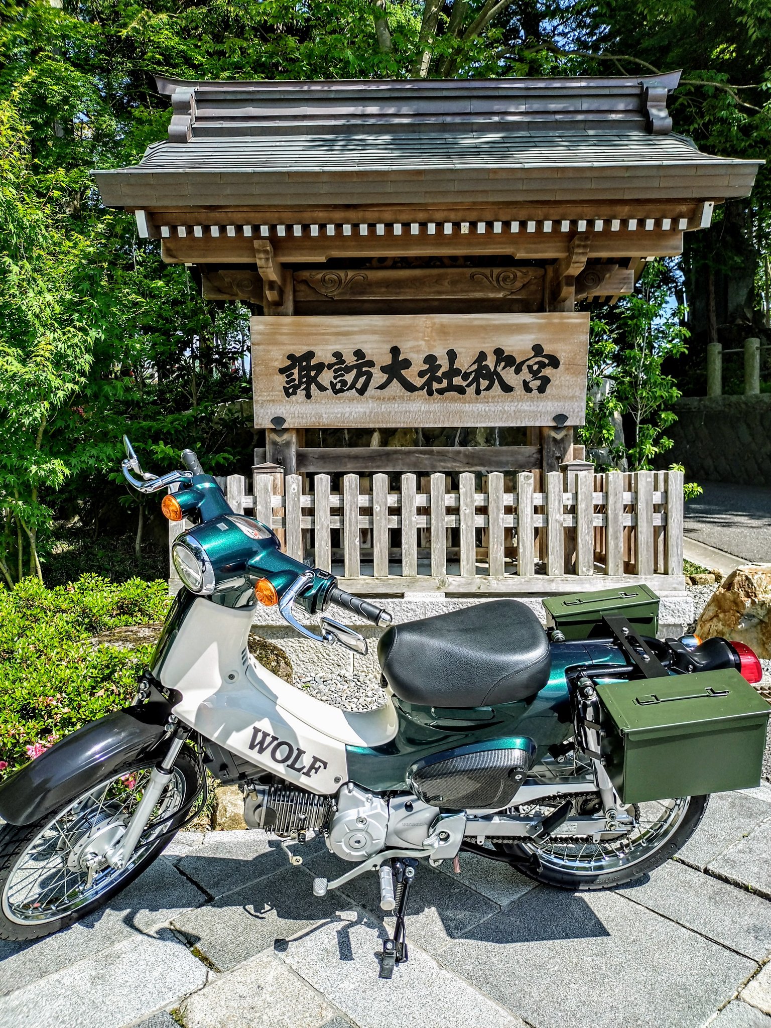 ウルフです hq720.jpg?sqp=-