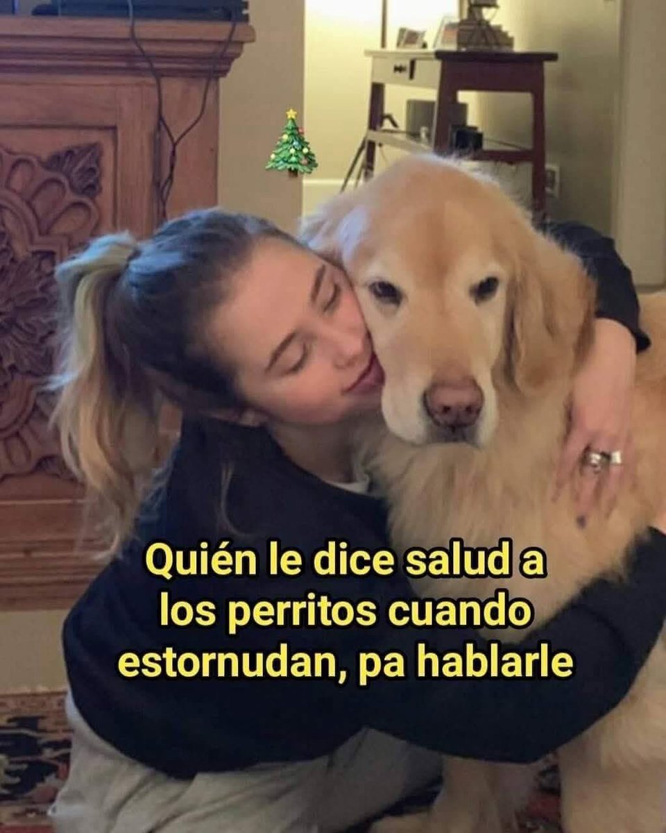 Dilo con perritos (@diloconperritos) on Twitter photo 