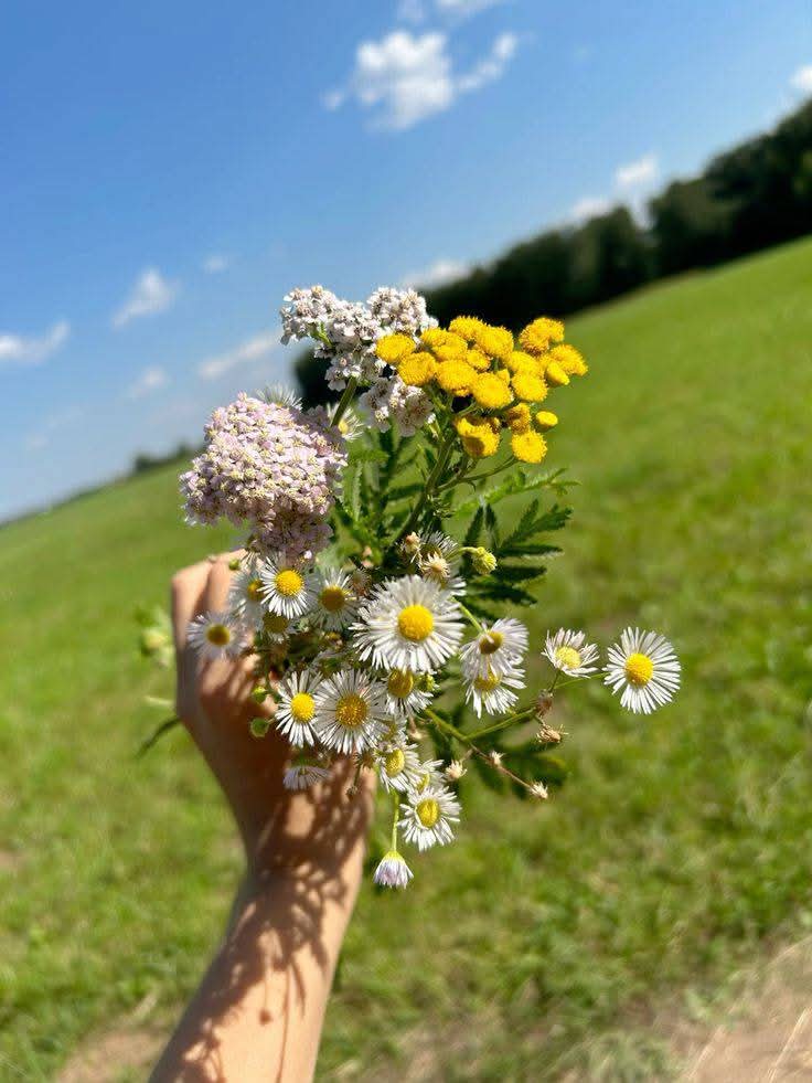 𝐅𝐢𝐟𝐭𝐲_𝐒𝐡𝐚𝐝𝐞𝐬 ☛♡☚ tweet media