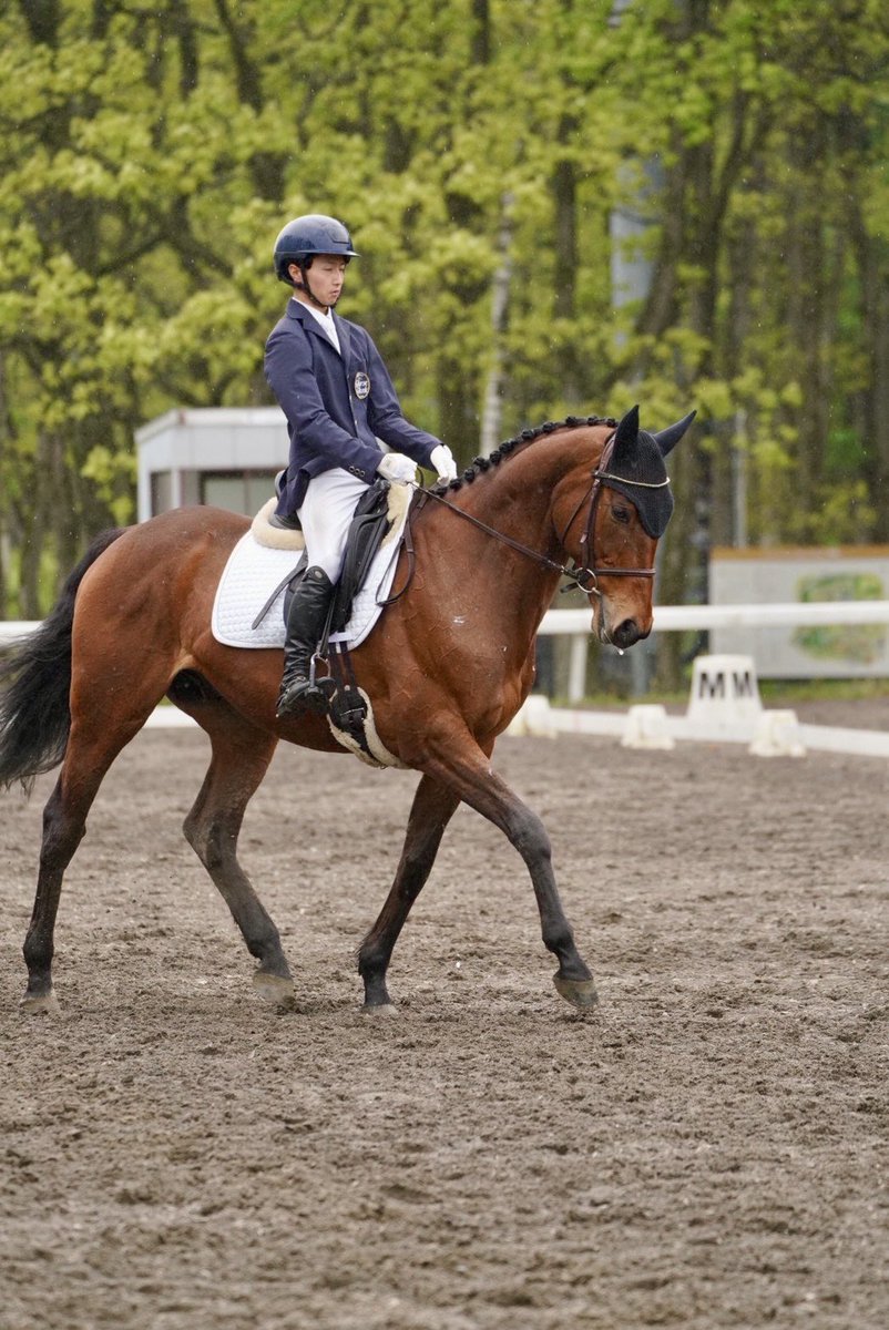 今週末はパークにて乗馬の競技会が開かれます！ 本日は障害飛越競技の