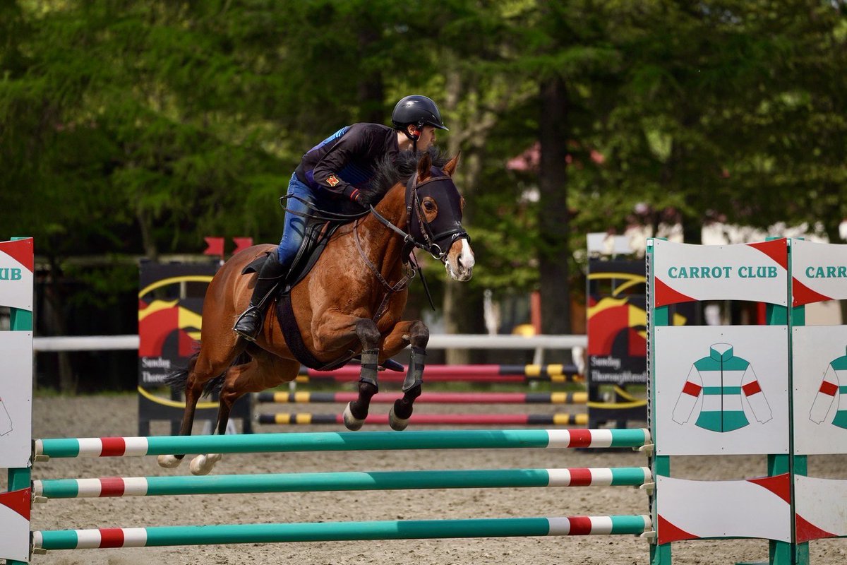 今週末はパークにて乗馬の競技会が開かれます！ 本日は障害飛越競技の