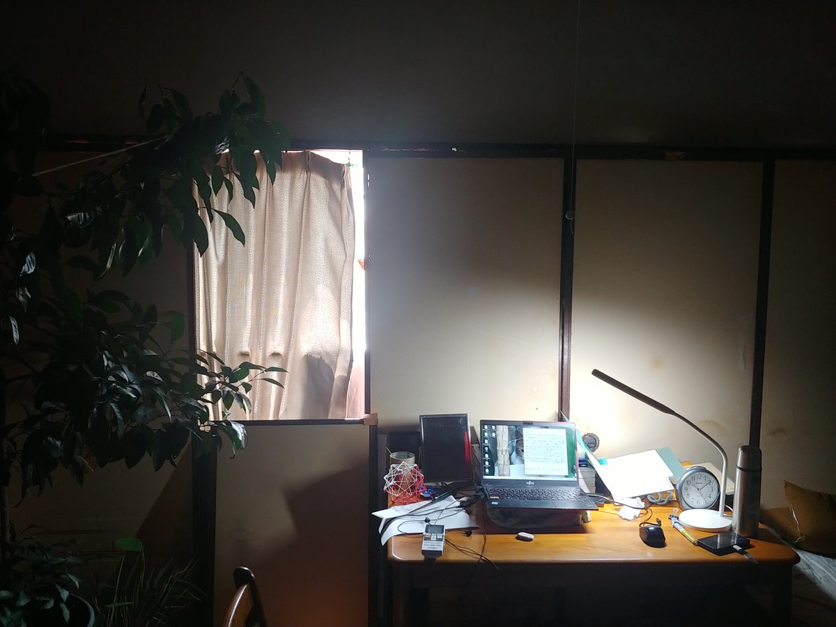 ■３■例年通りの対策１。部屋仕切りの襖を４枚剥いで東側の窓際に並べる。更に残った隙間は天袋の襖やダンボールで埋め、斜光バリア化する。窓ガラスと襖の間の空気の温度は上がるが、これは有効だ。部屋の中の巨大化した夏ミカンの木は、午前中のほんの少しだけしか陽光を供給できないがしかたない。