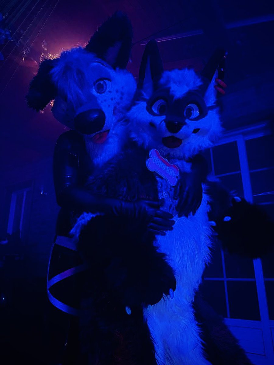 Bax (@the_cute_collie) on Twitter photo Heβs soft, sweet, and just a little silly π¦π
Soon heβll be nearby and Iβll never stop hugging him
π¦<a href="/Blep_Fox/">Blep π¨π¦π³οΈβππ¦</a>
πΈ<a href="/JayaWolf0/">Jaya is working</a> Heβs soft, sweet, and just a little silly π¦π
Soon heβll be nearby and Iβll never stop hugging him
π¦<a href="/Blep_Fox/">Blep π¨π¦π³οΈβππ¦</a>
πΈ<a href="/JayaWolf0/">Jaya is working</a>