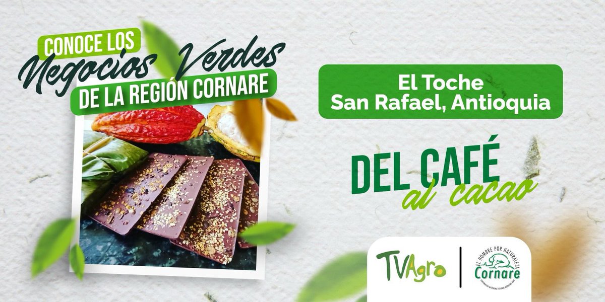 🌿¡Conoce los Negocios Verdes de la región Cornare!

🍫Te presentamos El Toche, una historia desde San Rafael, Antioquia. Una iniciativa de ecoturismo con cacao, donde la naturaleza y la tradición se unen para brindar una experiencia única.

👀 Descúbrelo: youtu.be/X5s-x0KoYgI?si…