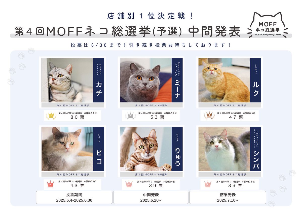 Moff animal cafeイーアスつくば店 tweet media