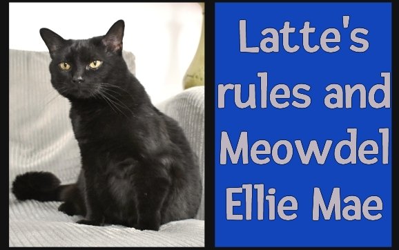 Today's re-run from February 2024: Latte's rules and Mewodel Ellie Mae

#cat #bossy #model

mommakatandherbearcat.com/2024/02/lattes…