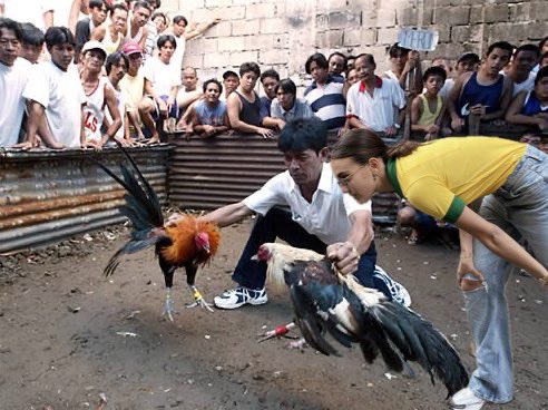 mygaypeck's tweet photo. the philippines ed part 2 https://t.co/YGh8f2YHnD