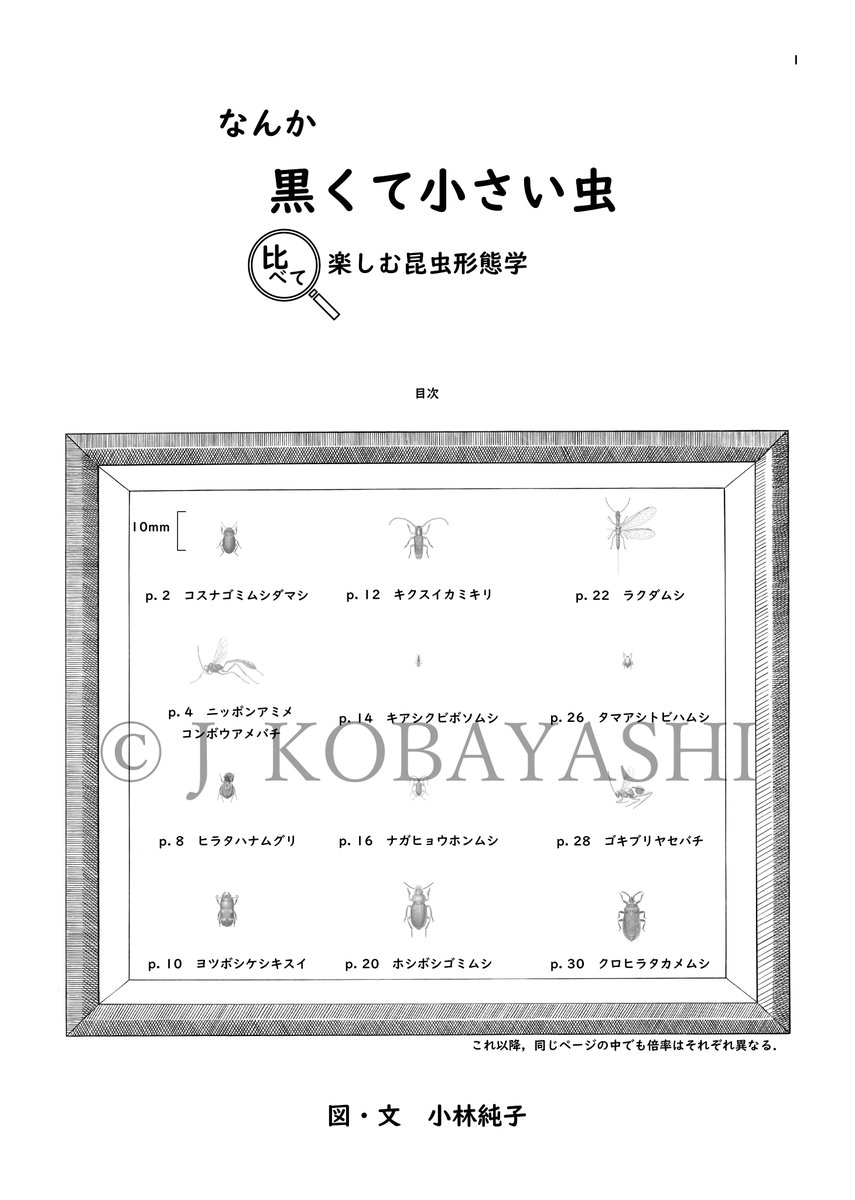 j_atrata's tweet image. たぶん脱稿。前日にもっと説明に向く虫を採ってしまったり、思うところがない事も無いけども、扉絵兼目次含む本文32ページ100図掲載。F58”普通の虫たち”にて販売します。#博物ふぇす