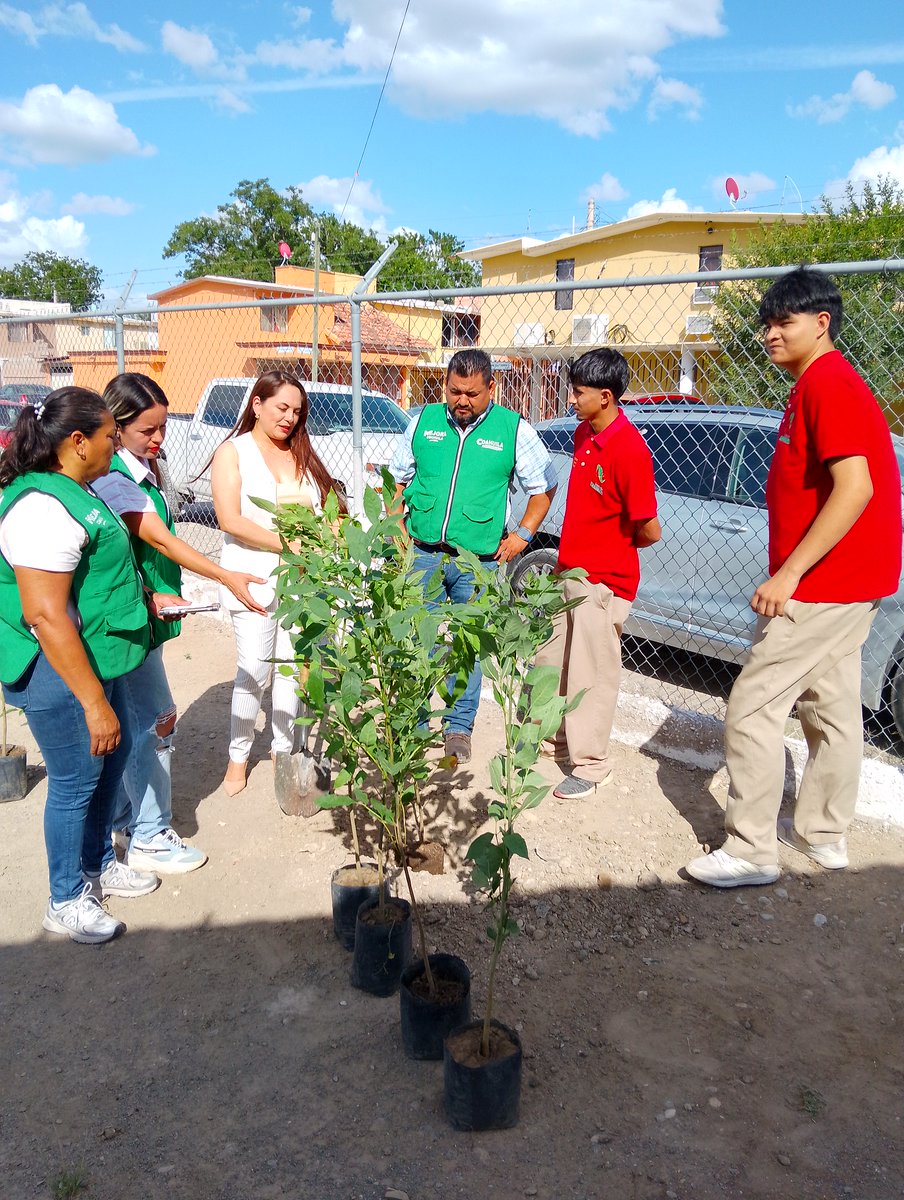 Agradecemos a la Lic. Claudia Garza Iribarren Coord. de Mejora Coahuila en Sabinas la “Donación de Arboles” que contribuirán en la educación ambiental, promover la reforestación y la responsabilidad ecológica entre estudiantes y personal. #ImpulsoEducativo #CoahuilaPaDelante