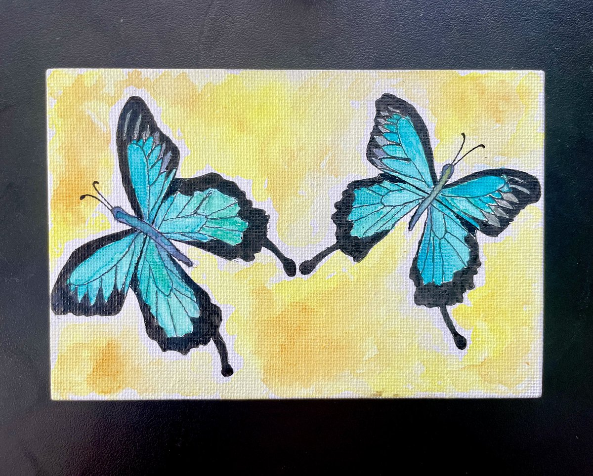 ScrapNaturalist's tweet image. occasionally trying to learn to paint stuff 🙃

i was trying to find something to paint in my favorite color (cerulean) and the Ulysses butterfly fit the bill
