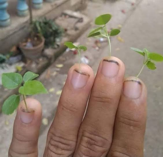 Bingung mau komen yg mana duluan yg keluar dari jari ini