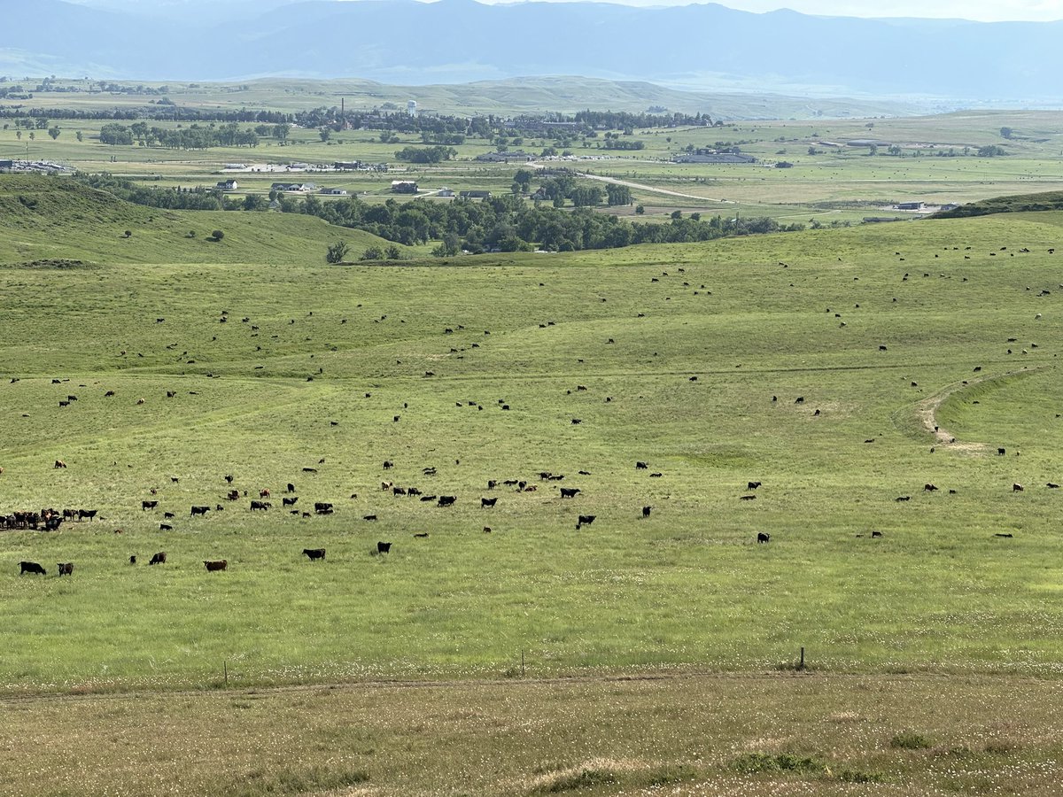 Consider that the reason the grass is always greener over there is you’ve been eating the green grass where you are.