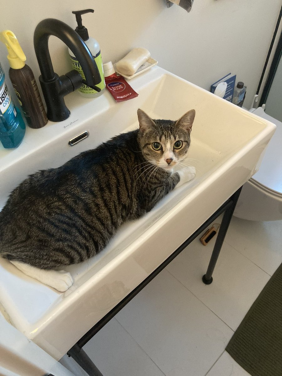 scand0ra's tweet image. i just turned on the faucet and this fucking glob came out what do i do