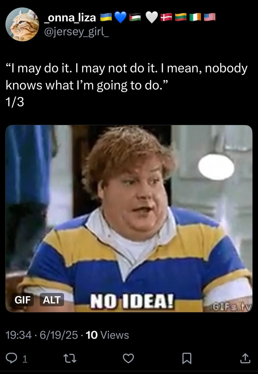 jersey_girl_'s tweet image. @BulwarkOnline @samstein @EggerDC 
Just getting to watch your video on #twoweeks  and it’s definitely on everyone’s mind too. 

p.s. you’re all awesome.

 #twoweektaco #twoweaktrump