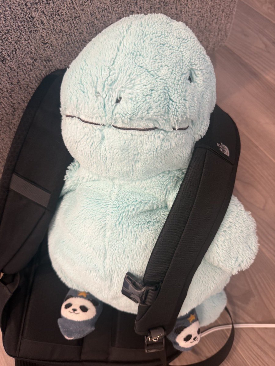 おでかけしたいのーのちゃん˙𐃷˙