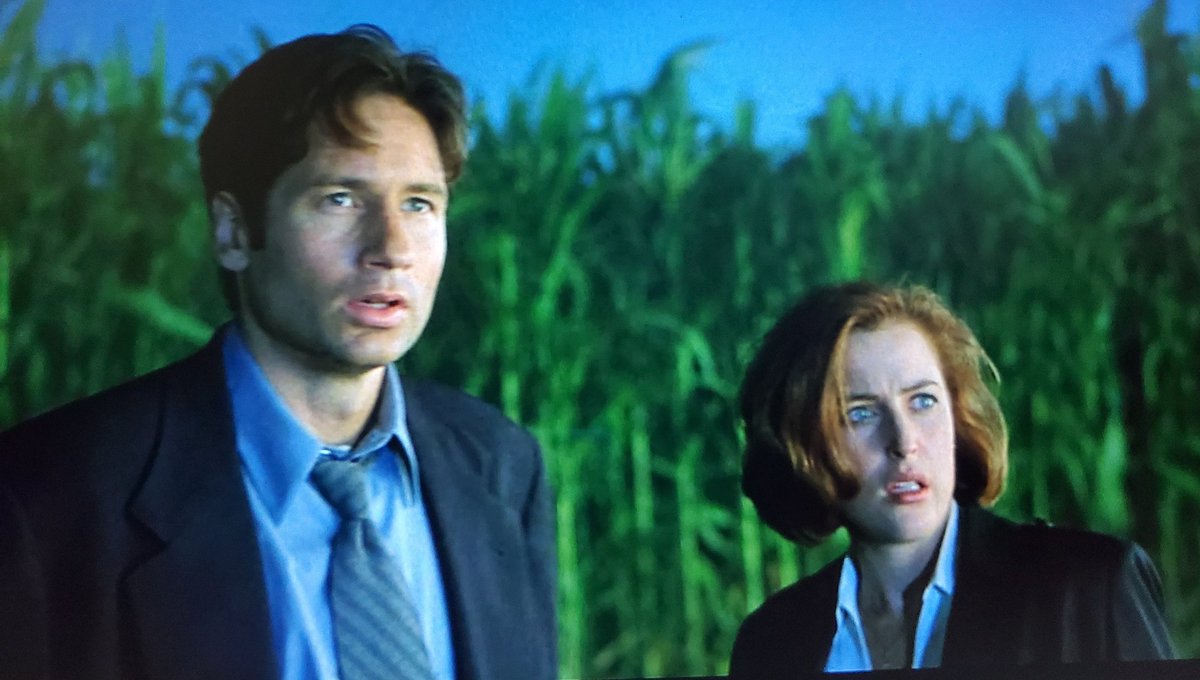 CatherineGlins2's tweet image. It took 11 Sculllaaaaays to find her