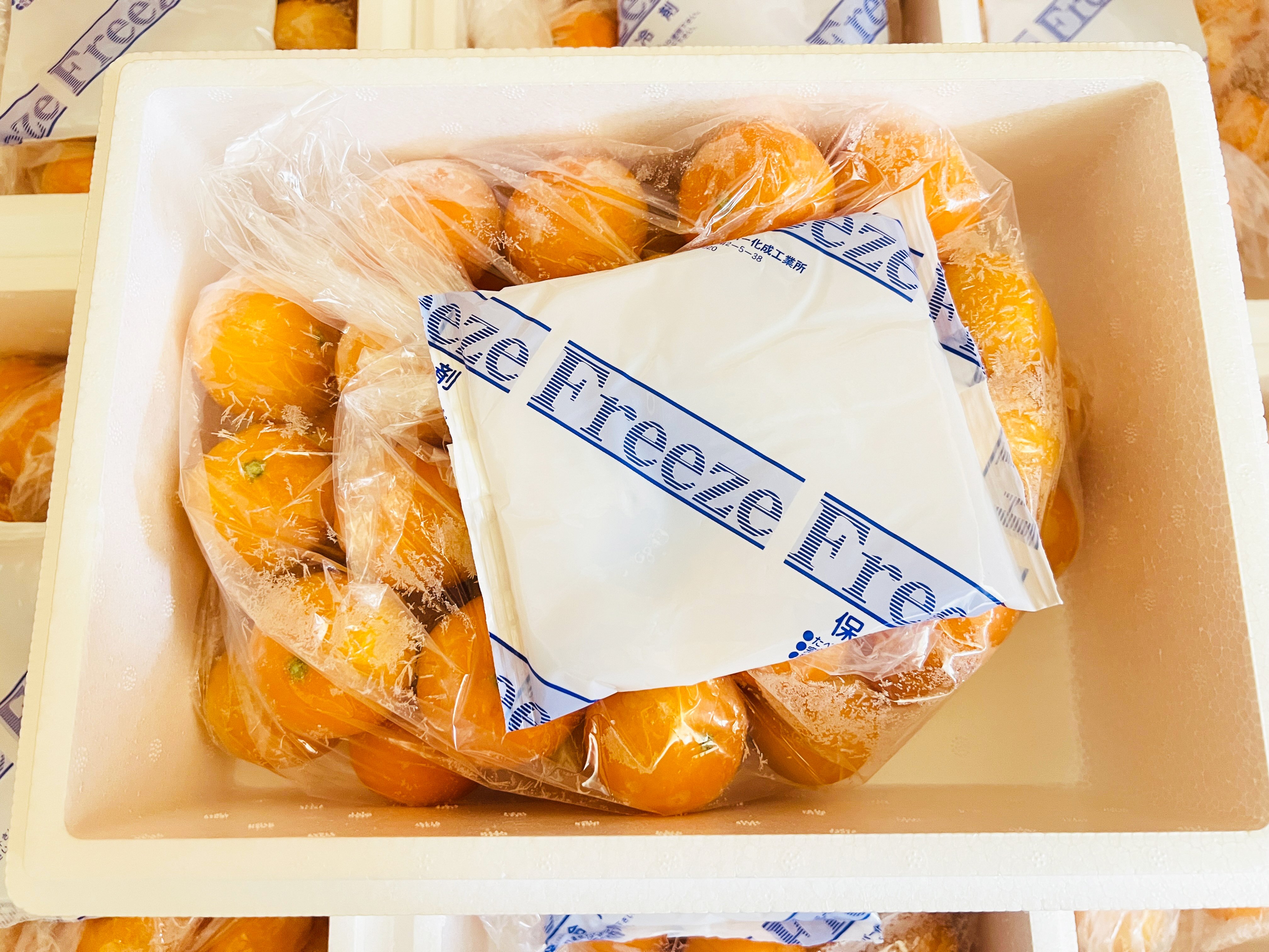 ☆　豆大福出品　☆ 41wIclskO1L.jpg_BO30,255,255,
