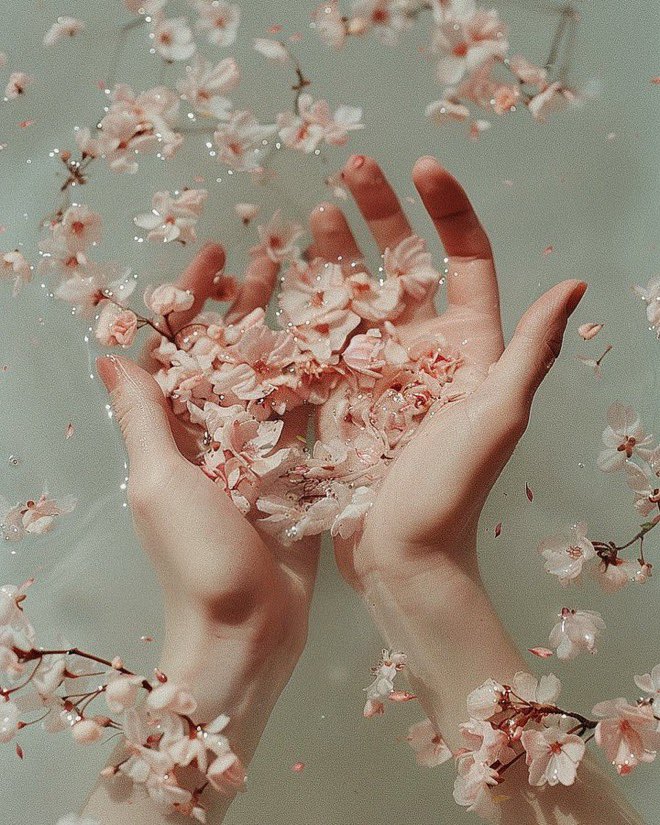 •
—————— 🫧🍢🫧🍢
“Since love grows with in you, so beauty grows. For love is the beauty of the soul.” - Augustine 
—————————— 🫧🍢🫧🍢
•
     ©️Marco