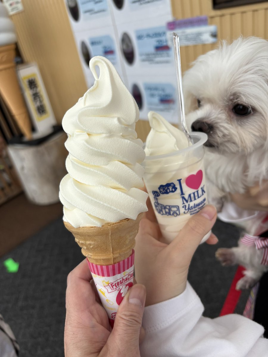 m_miki3's tweet photo. 八ヶ岳の〆アイスといったら、
ヤツレンですわ❤️ https://t.co/IoPViFiBIl