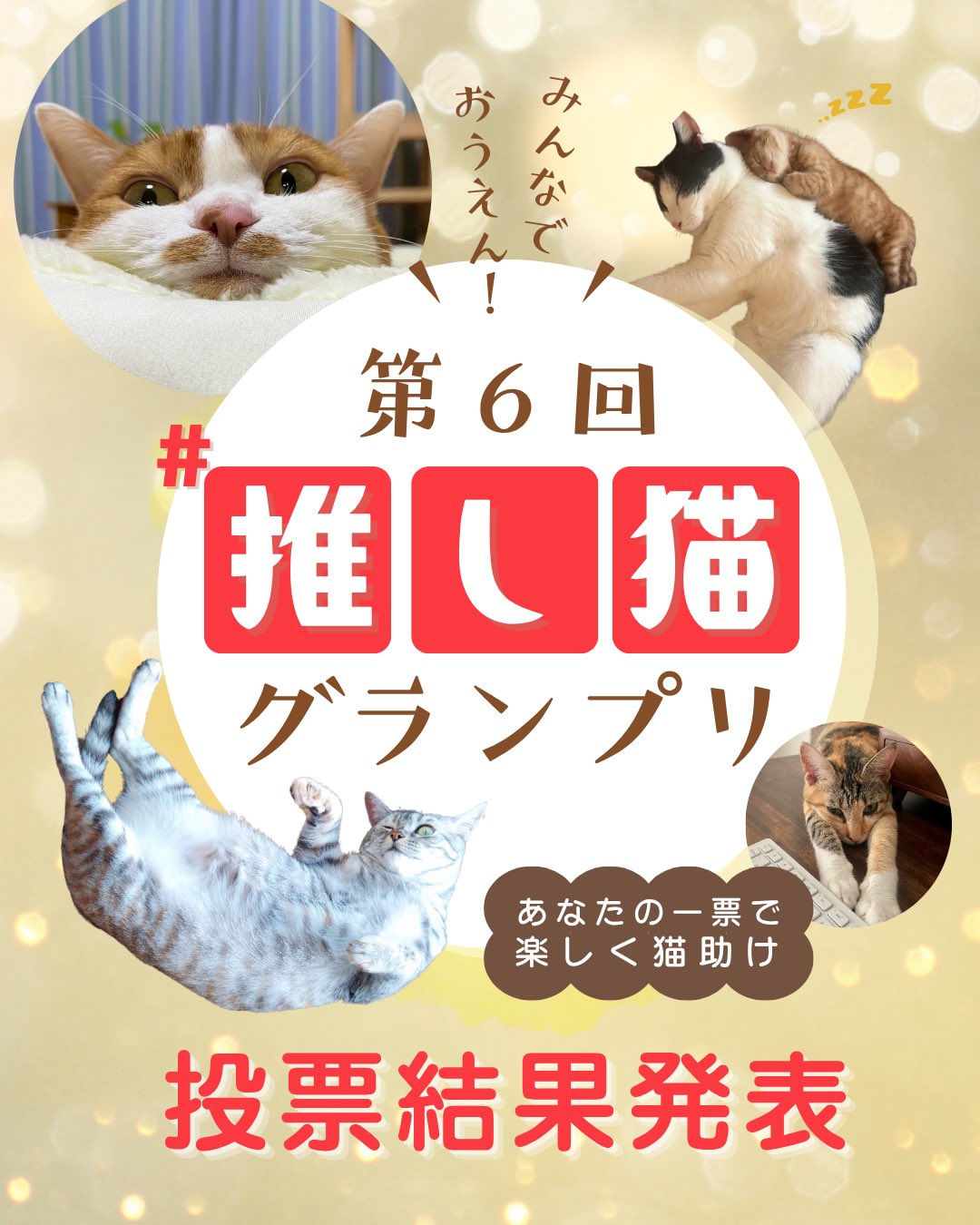 96猫 ファンクラブ会員限定商品 96猫ファン必見】100時間カレーコラボ詳細！コースター、缶