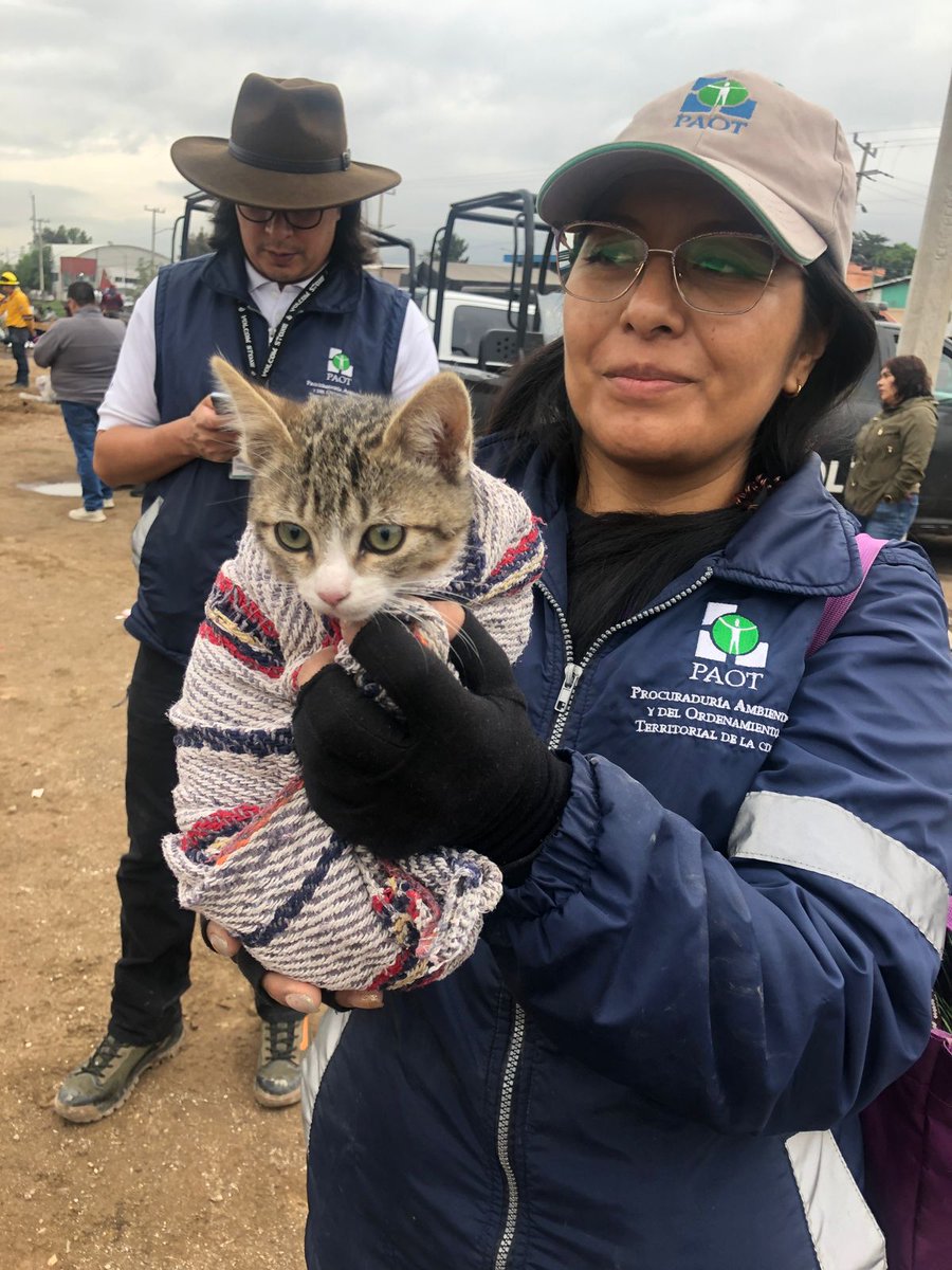 PAOT (@paotmx) on Twitter photo Esta mañana, personal PAOT participó en la acción interinstitucional coordinada por <a href="/SeGobCDMX/">SEGOB CDMX</a> y <a href="/SEDEMA_CDMX/">Secretaría del Medio Ambiente</a>
<a href="/corenadr/">CORENADR</a> para la recuperación de más de 3 ha de Suelo de Conservación en Zapotitlán #Tláhuac, para asegurar el bienestar de los animales 🐾 encontrados en el operativo. Esta mañana, personal PAOT participó en la acción interinstitucional coordinada por <a href="/SeGobCDMX/">SEGOB CDMX</a> y <a href="/SEDEMA_CDMX/">Secretaría del Medio Ambiente</a>
<a href="/corenadr/">CORENADR</a> para la recuperación de más de 3 ha de Suelo de Conservación en Zapotitlán #Tláhuac, para asegurar el bienestar de los animales 🐾 encontrados en el operativo.