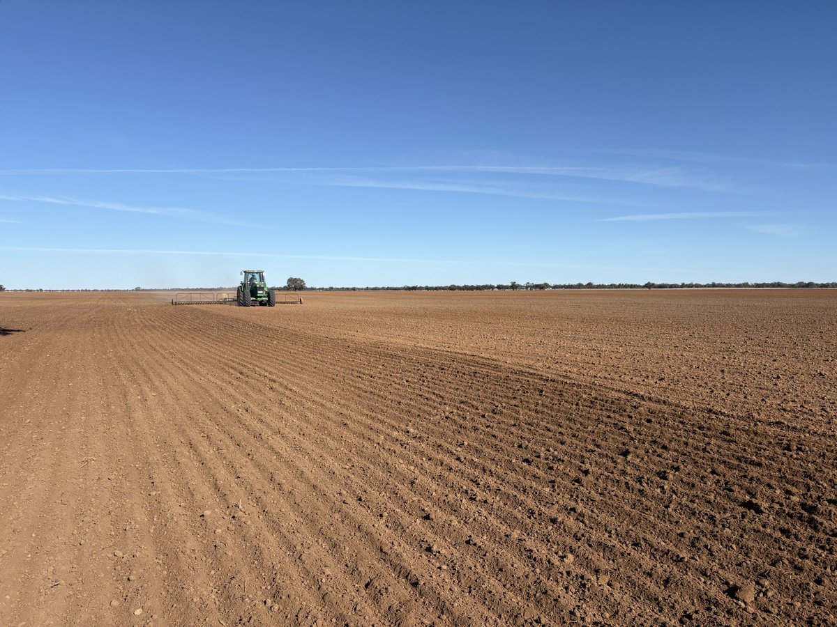 Matt Witney tweet media