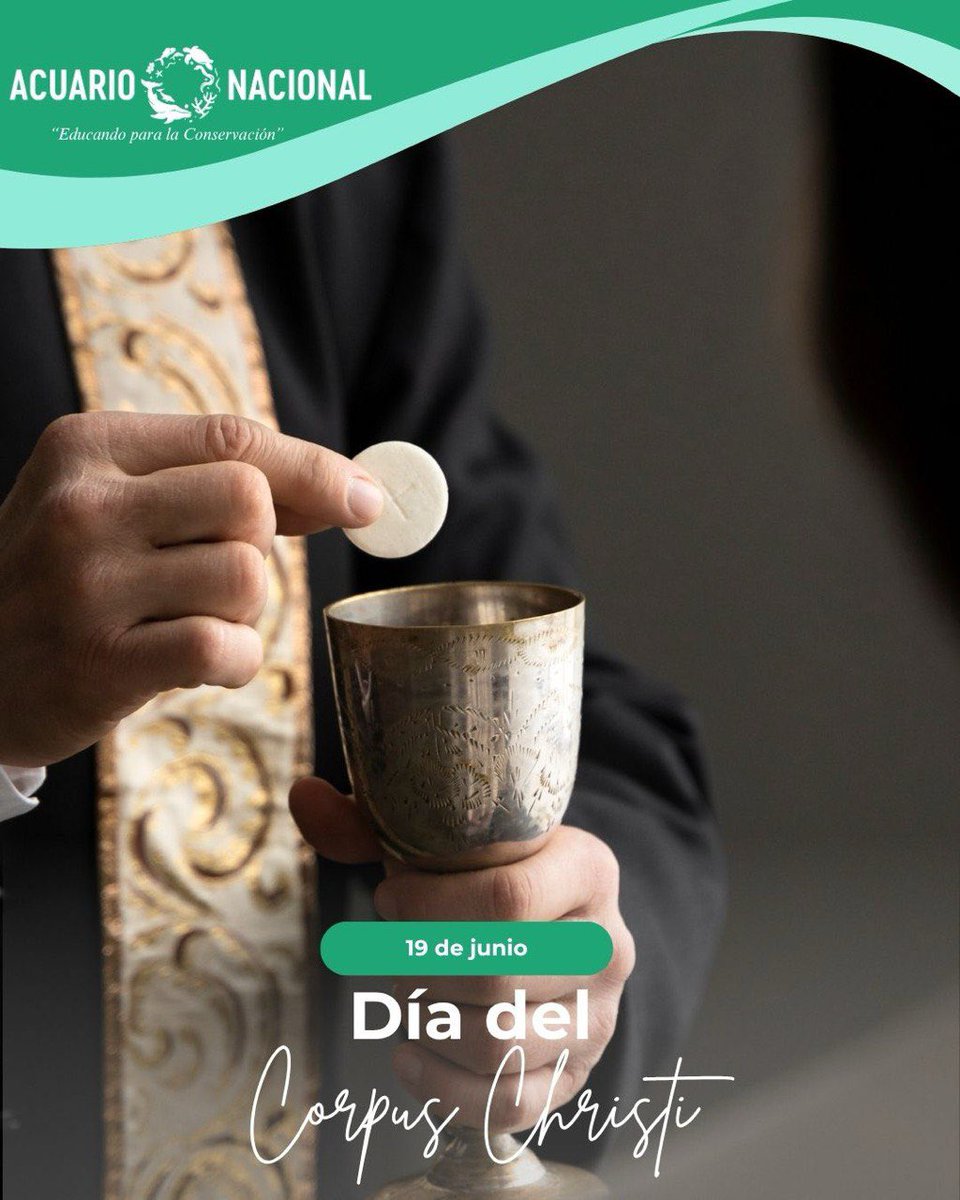 En este Día de Corpus Christi, tómate un momento para reconectar con lo esencial: la fe, la familia y la gratitud. Que este día especial nos inspire a compartir en paz y armonía. 🙏✨