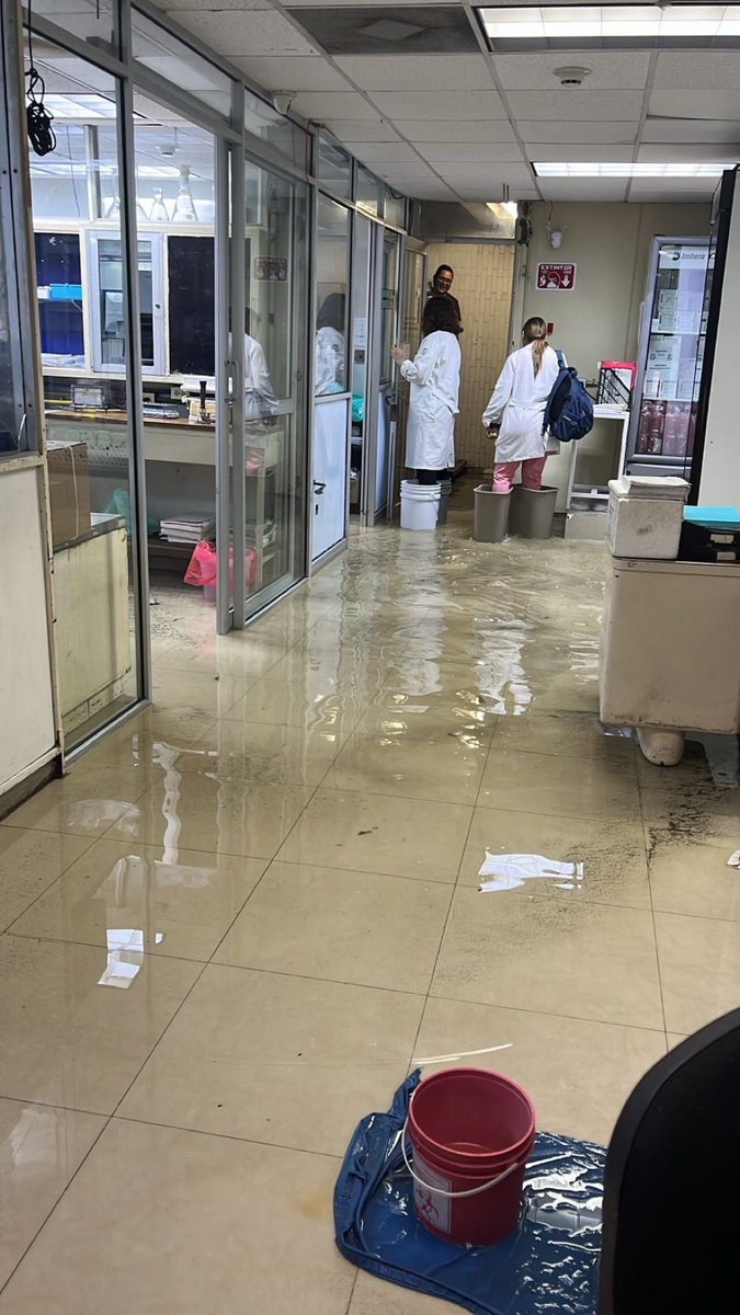 LuisCardenasMX tweet media