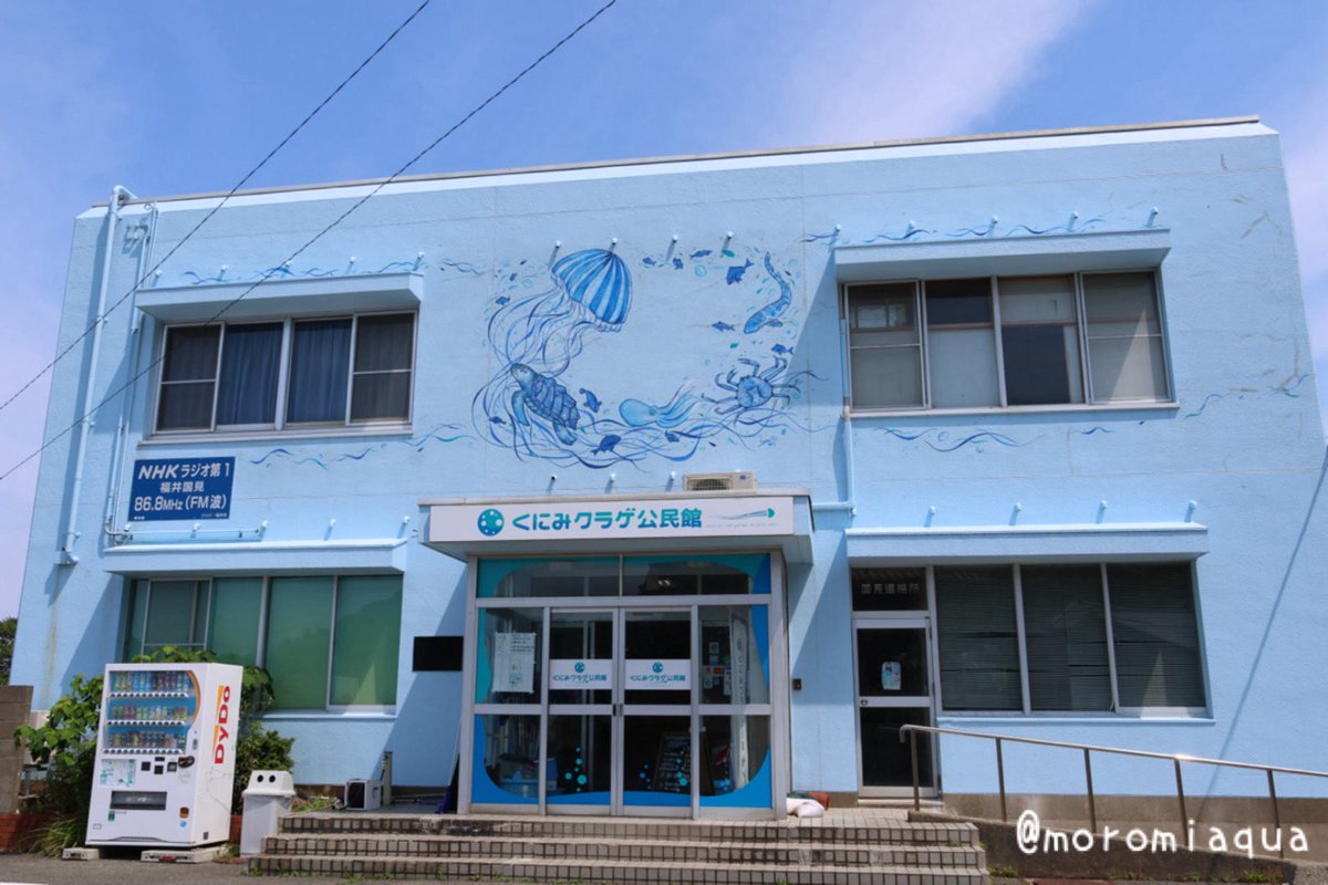 moromiaqua's tweet photo. 今日は福井県、#くにみクラゲ公民館 と #越前松島水族館 へ行きました。
クラゲ公民館は小規模ながらも展示種類は結構多かったです。クラゲ照明も綺麗。
越前松島水族館はイベントが豊富で全然飽きません。閉館時間までしっかりと楽しめる素敵な水族館でした！ https://t.co/6PQEZ5Iwao