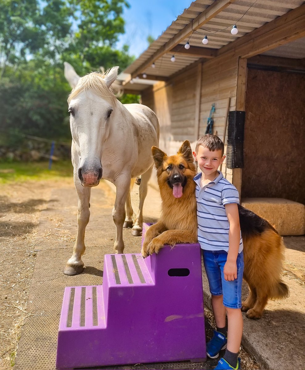 Animals are such agreeable friends- they ask no questions, they pass no criticisms. 🐎❤️🐕 #love #horses #GermanShepherd #NorthernIreland