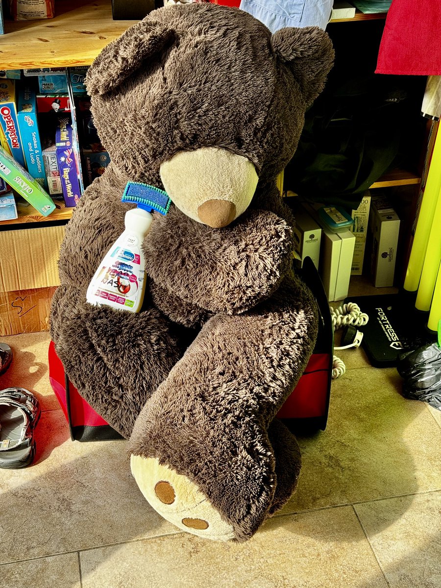 Naked bear alert!!! Scrappy is starting to pong a bit, and it’s forecast 30°C today, so it’s annual bath day! He is not happy.