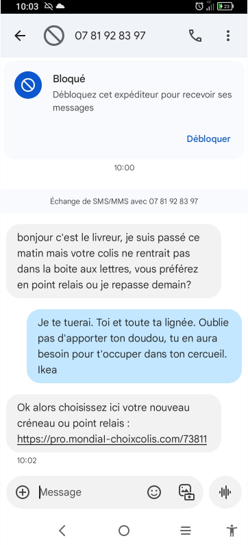 Opération RAGE DU LION enclenchée