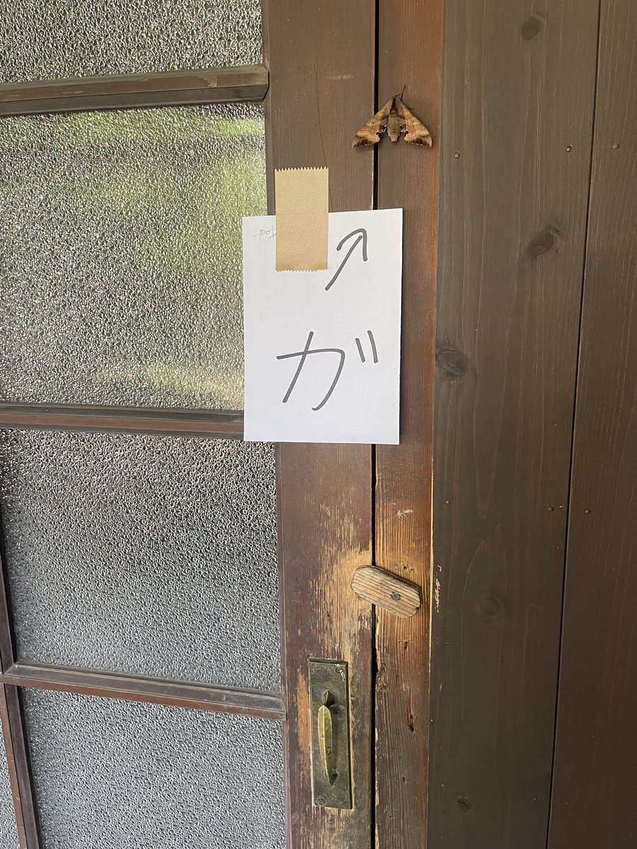 miki964's tweet photo. 蔵のお勝手ドアにB2ステルス爆撃機がとまってて、オカンがうっかり戸を開けて気絶しない様に貼紙しておきました。#楽の世　#モモスズメ　#スズメガ　#昆虫　#B2  #ステルス https://t.co/gaDwKvOFJq