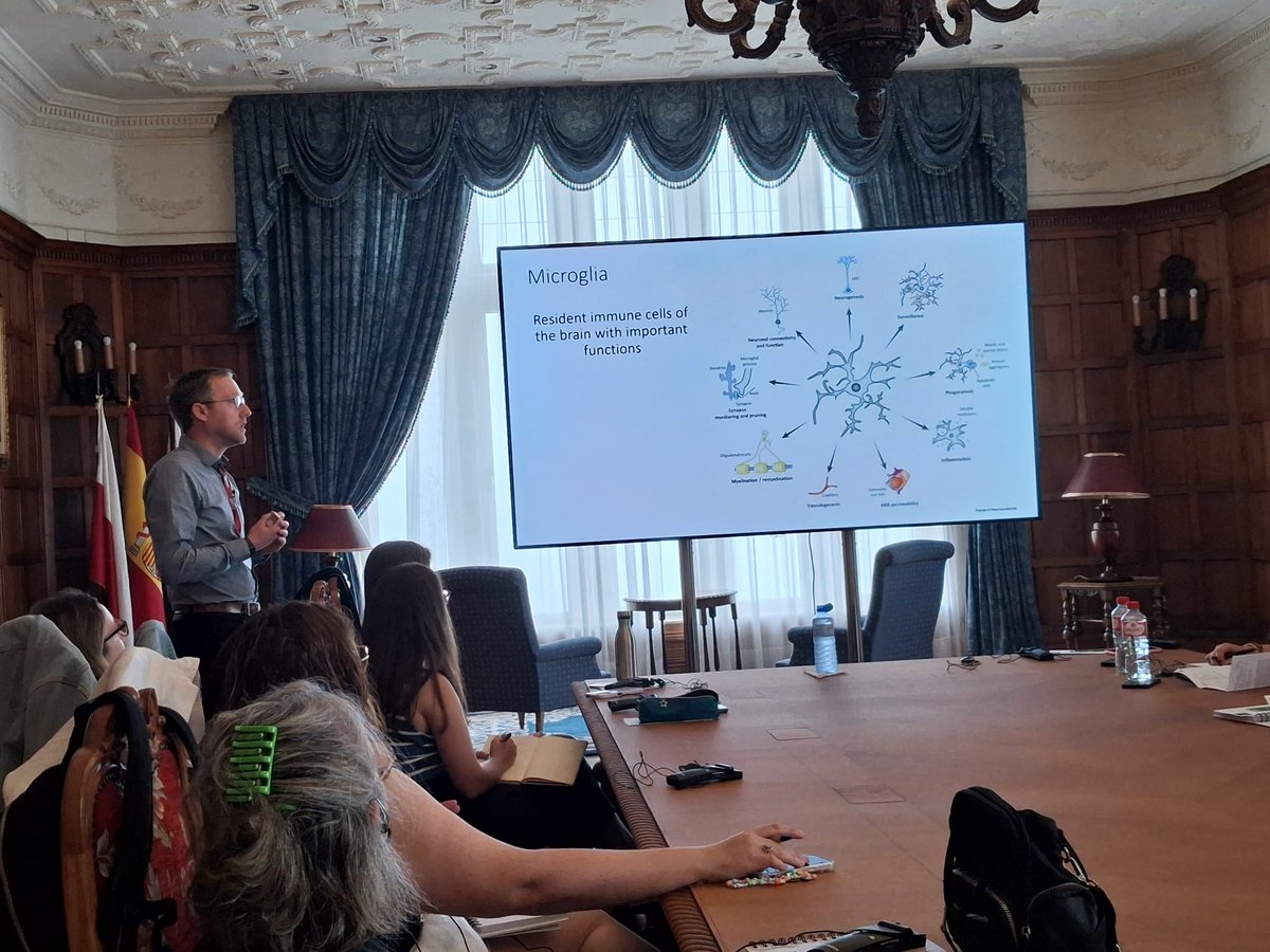 Comenzamos la tercera y última jornada de #EM_UIMP25 NUEVOS AVANCES Y DESAFÍOS EN LA ESCLEROSIS MÚLTIPLE dedicada a la MICROGLÍA EN LA ESCLEROSIS MÚLTIPLE con la charla de JEROME HENDRICKS <a href="/uhasselt/">Universiteit Hasselt</a> hablando de MICROGLÍA: AMIGA O ENEMIGA.
<a href="/UIMP/">UIMP</a>